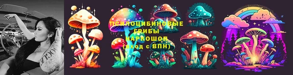 ALPHA-PVP Вяземский