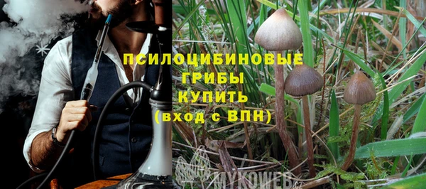 круглые Алапаевск